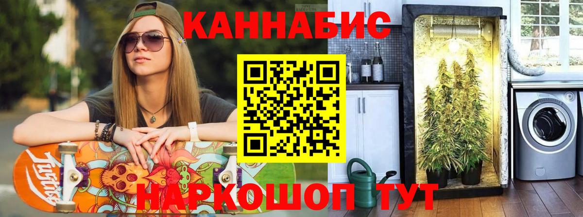 Бошки марихуана THC 21% Зима